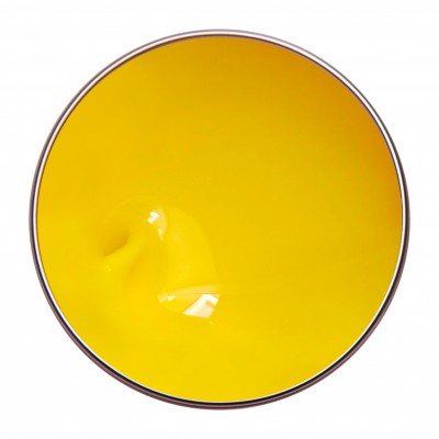 PAINTING GEL SUNNY YELLOW 3g