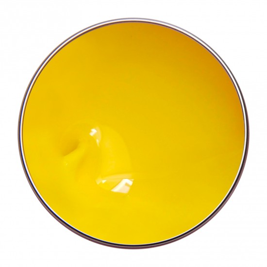 PAINTING GEL SUNNY YELLOW 3g