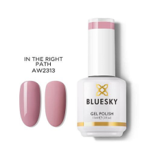   Bluesky Gel Polish In The Right Path AW2313 15ml