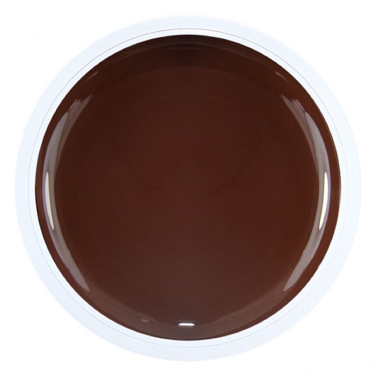 Artistic Painting Gel Brown Alezori 3g