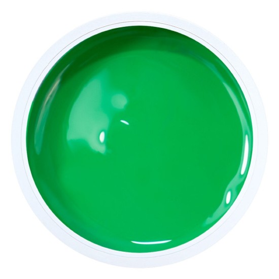 Alezori Artistic Painting Gel Neon Green 3g