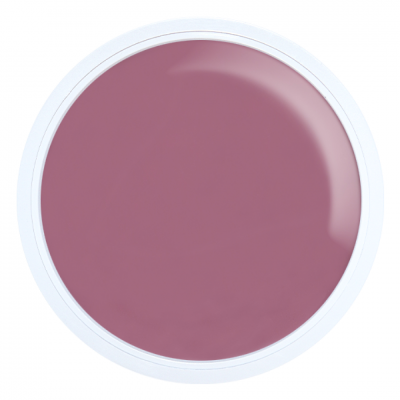 A&G HYBRID DARK PINK ALEZORI 17g